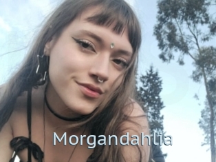 Morgandahlia