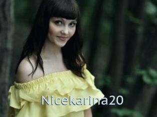 Nicekarina20