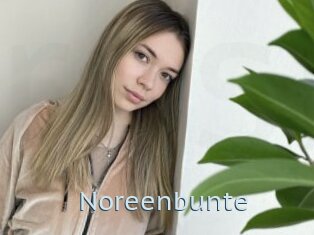 Noreenbunte