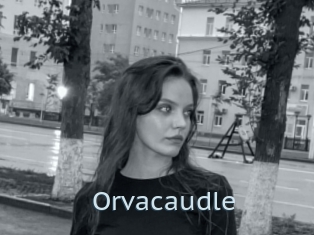 Orvacaudle