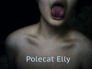 Polecat_Elly