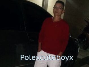 Polexcuteboyx