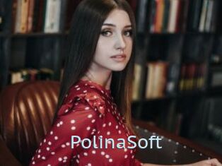 PolinaSoft