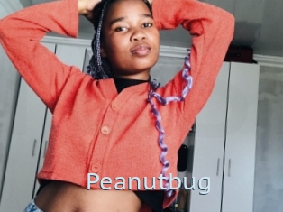 Peanutbug