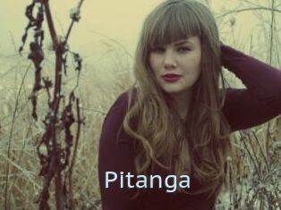 Pitanga