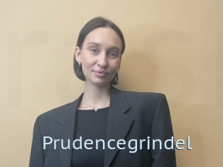 Prudencegrindel