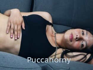 Puccahorny