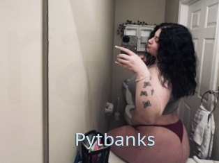 Pytbanks