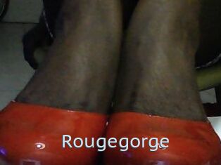 Rougegorge