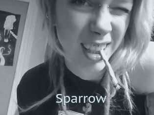 Sparrow