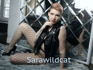 Sarawildcat