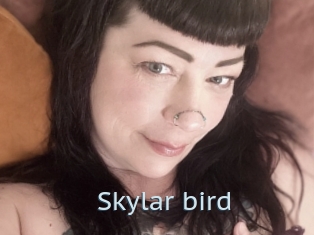 Skylar_bird