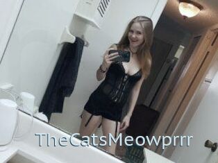 TheCatsMeowprrr