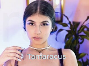Tamaracus