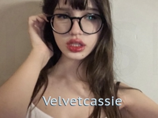 Velvetcassie