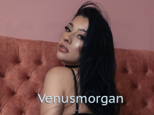 Venusmorgan