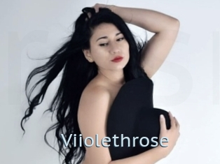 Viiolethrose