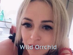 Wild_Orrchid