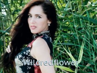 Wildredflower