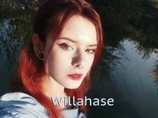 Willahase