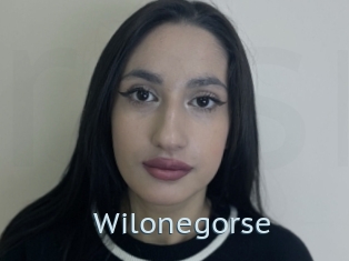 Wilonegorse