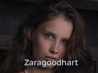 Zaragoodhart